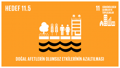 sdg_11.5