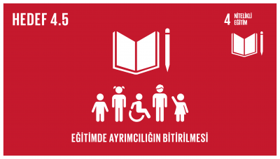 sdg_4.5
