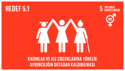 sdg_5.1