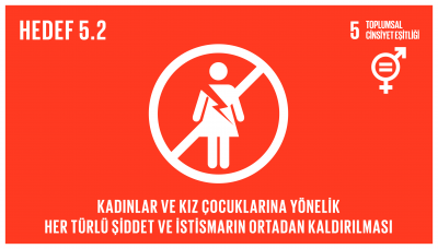 sdg_5.2