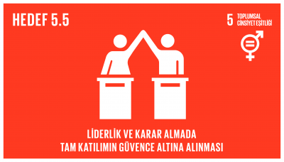 sdg_5.5
