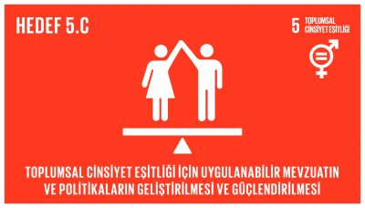 sdg_5.C