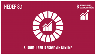 sdg_8.1