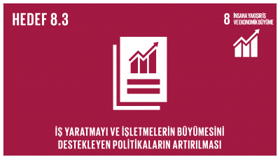 sdg_8.3