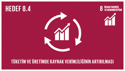 sdg_8.4