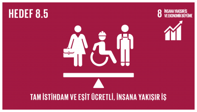 sdg_8.5