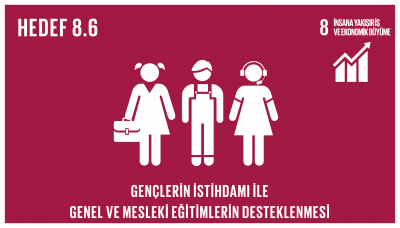 sdg_8.6
