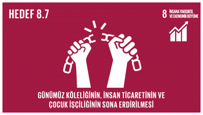 sdg_8.7