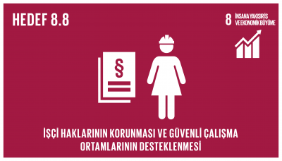 sdg_8.8