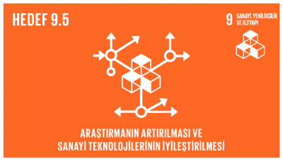 sdg_9.5