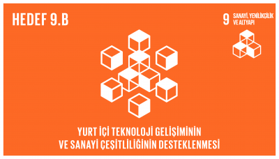 sdg_9.B